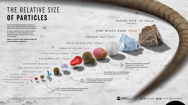 zejournal-mobi-visualisation-de-la-taille-relative-des-particules